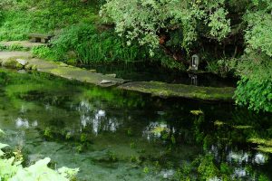 緑にかこまれた水源の水神様［小池水源・南阿蘇村］