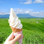 小国ジャージー牛乳ソフトクリーム［大観峰・レストラン］